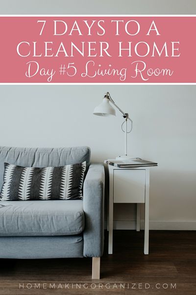 7 Days to a Cleaner Home - Day 5 the Living Rom