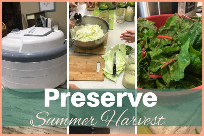 5 Easy Ways to Preserve Your Summer Harvest