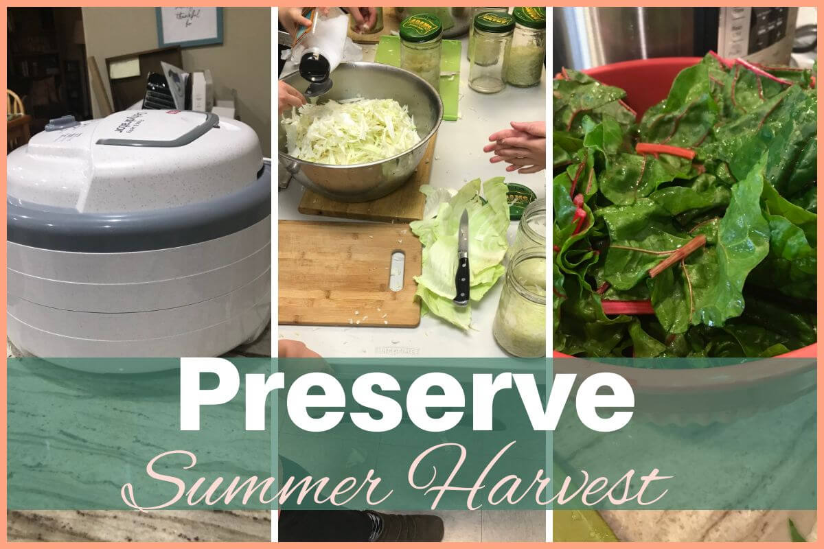 Preserve Summer Garden Vegetables