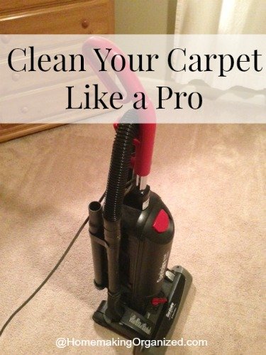 clean-carpet-pro