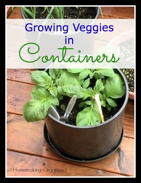 container-gardening