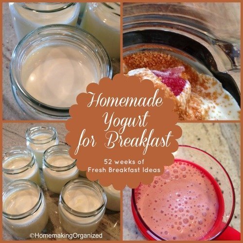 52 Weeks of Fresh Breakfast Ideas : Week 28 Homemade Yogurt
