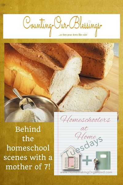 A Visit With Clarissa West from Counting Our Blessings – Homeschoolers at Home Tuesday