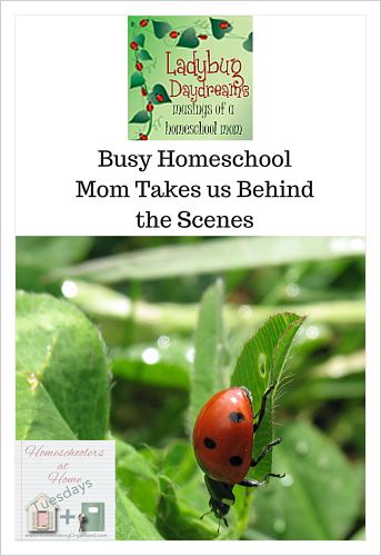 Talking with Wendy of Ladybug DayDreams – Homeschoolers at Home Tuesday