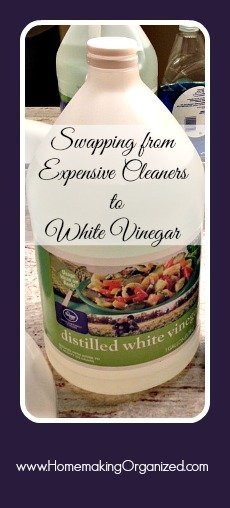 Reducing the Household Bills #1 – Making Better Use of White Vinegar