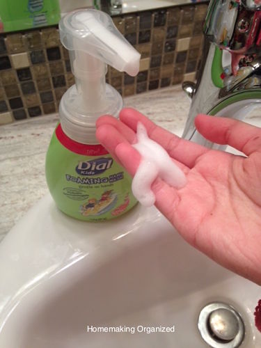 Dial_Hand_Wash-Suds