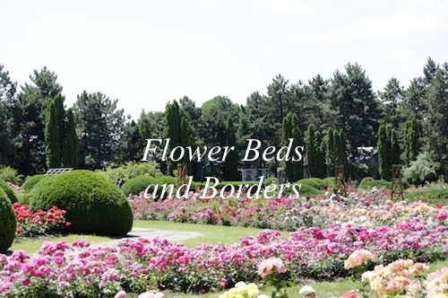 flower beds and borders