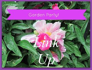Garden Party Update August 2015