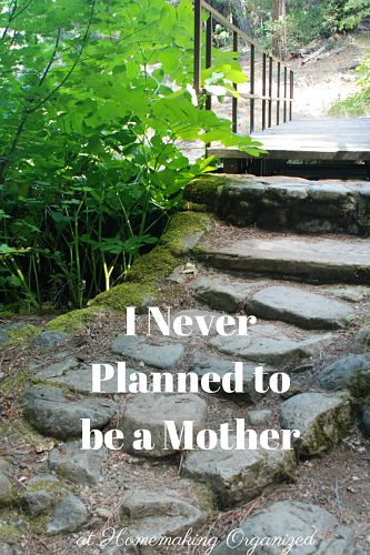 I Never Planned to be a Mother_opt