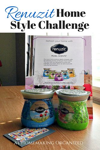 Renuzit Home Style Challenge