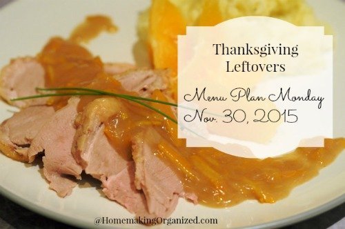 Thanksgiving-Leftovers