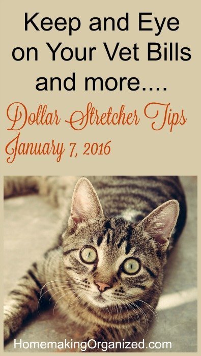 dollar-stretcher-tips-jan-7