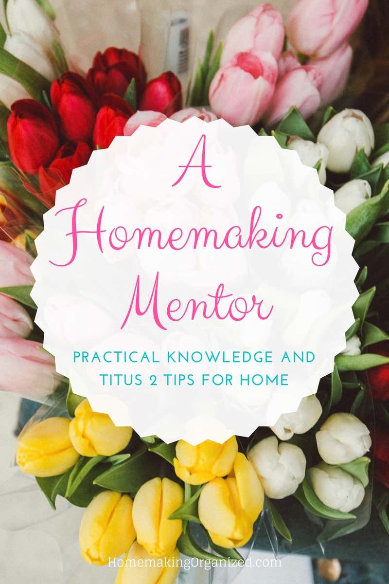 Find Homemaking Mentors Online. A hub of Titus 2 Women with over 16 courses to help you with Christian Homemaking Skills - Homemaking Organized