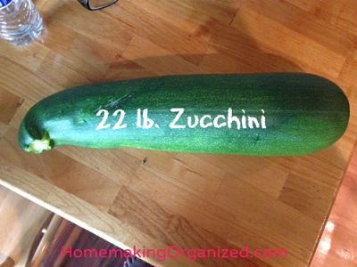zucchini-22lbs