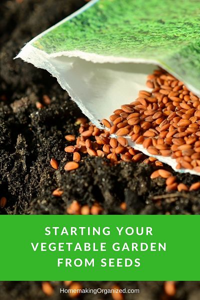 Starting Your Vegetable Garden From Seeds {How To}