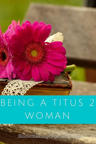 I’m a Titus 2 Woman. Really? Write 31 Days