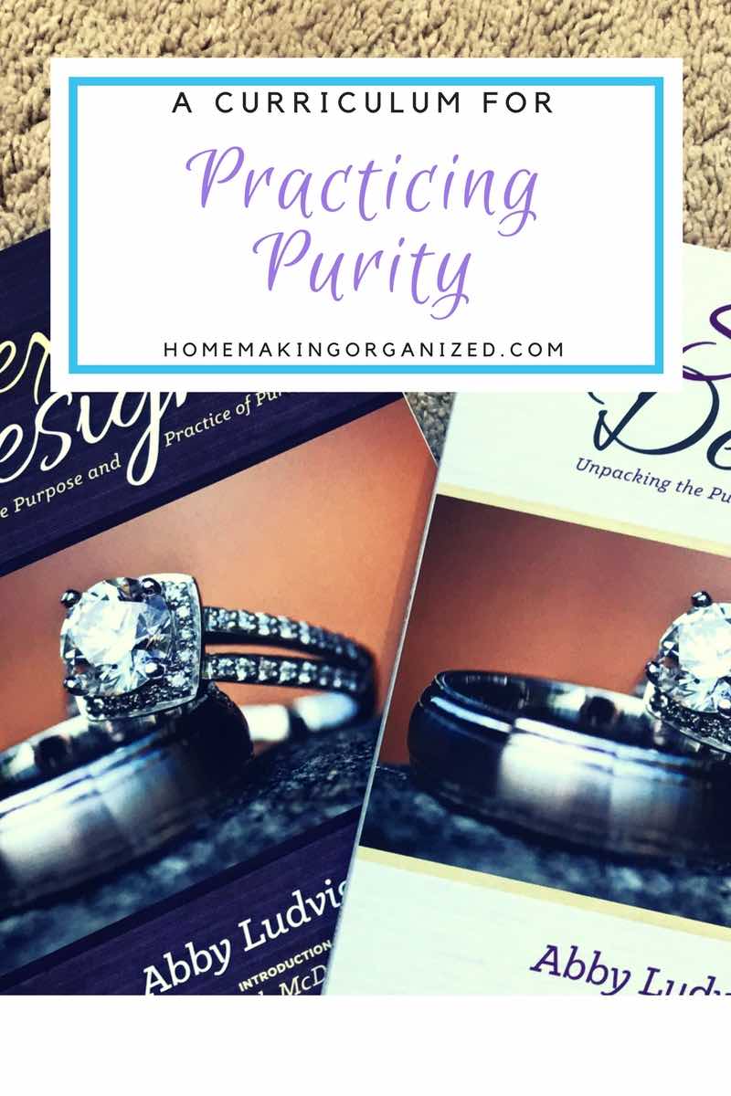 Practicing Purity - Sex by Design by Abby Ludvigsson - Homemaking Organized 