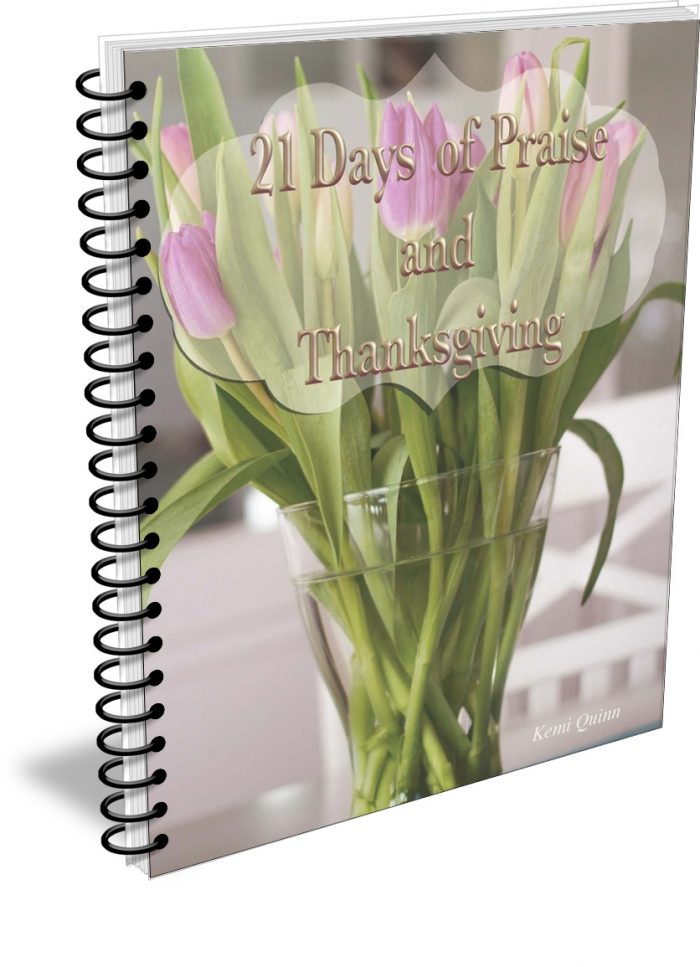 Mom’s Devotional with 21 Days of Praise