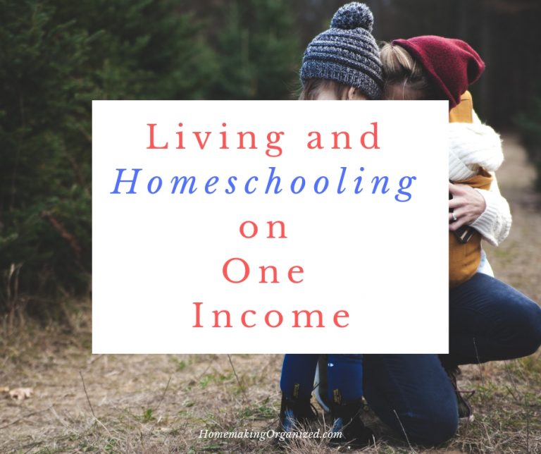 Living and Homeschooling On One Income