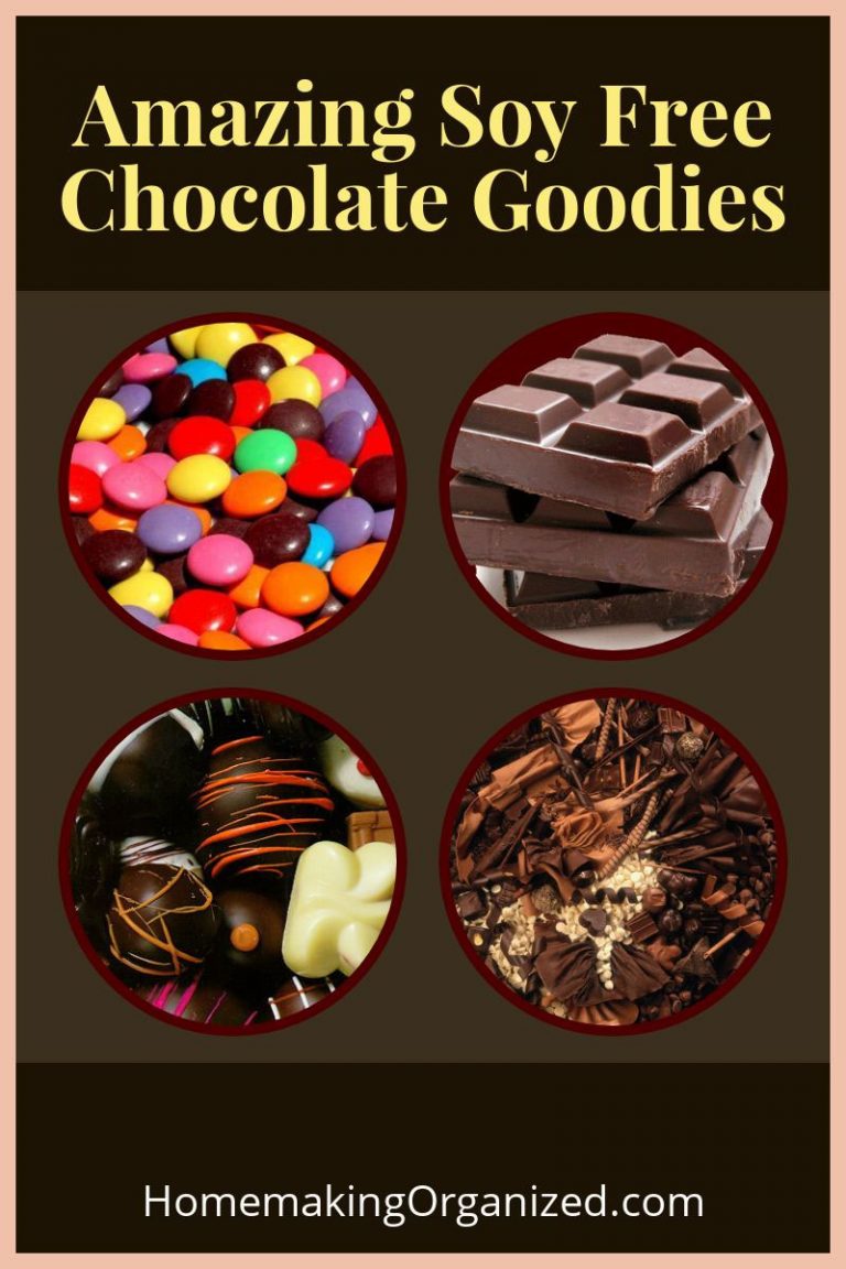 13 Amazing Soy Free Chocolate Treats to try Today Homemaking Organized
