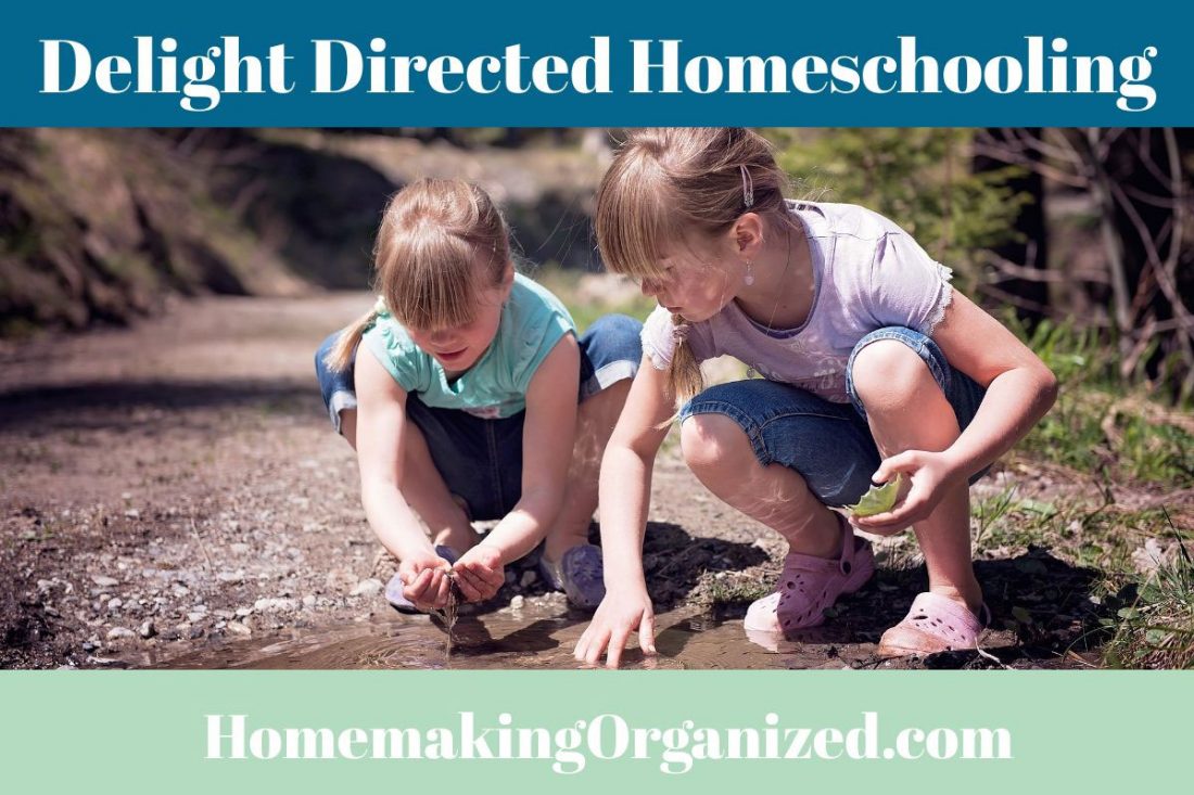 Delight Directed Homeschooling