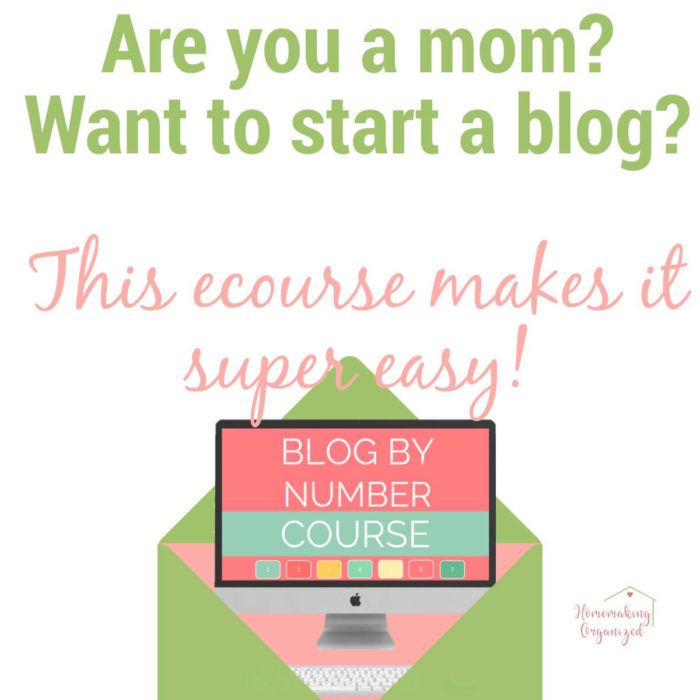 Blog by Number Blogging Course by Start a Mom Blog Review