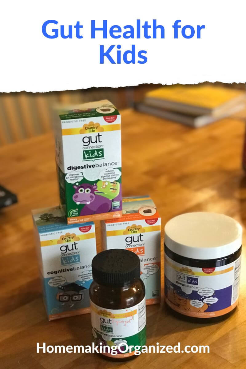 Gut Connection Kids Prebiotic Supplements by Country Life