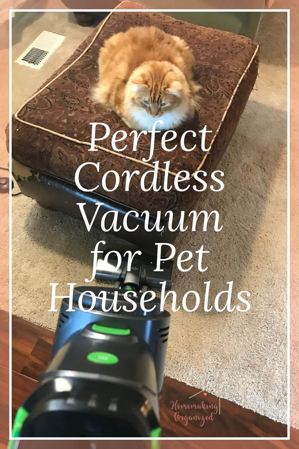 The perfect cordless vacuum for pet households