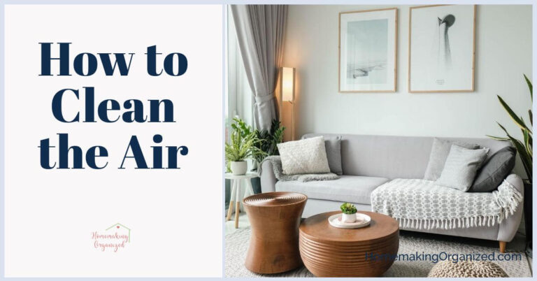 Clean Your Air When You Clean Your Home with an Air Purifier