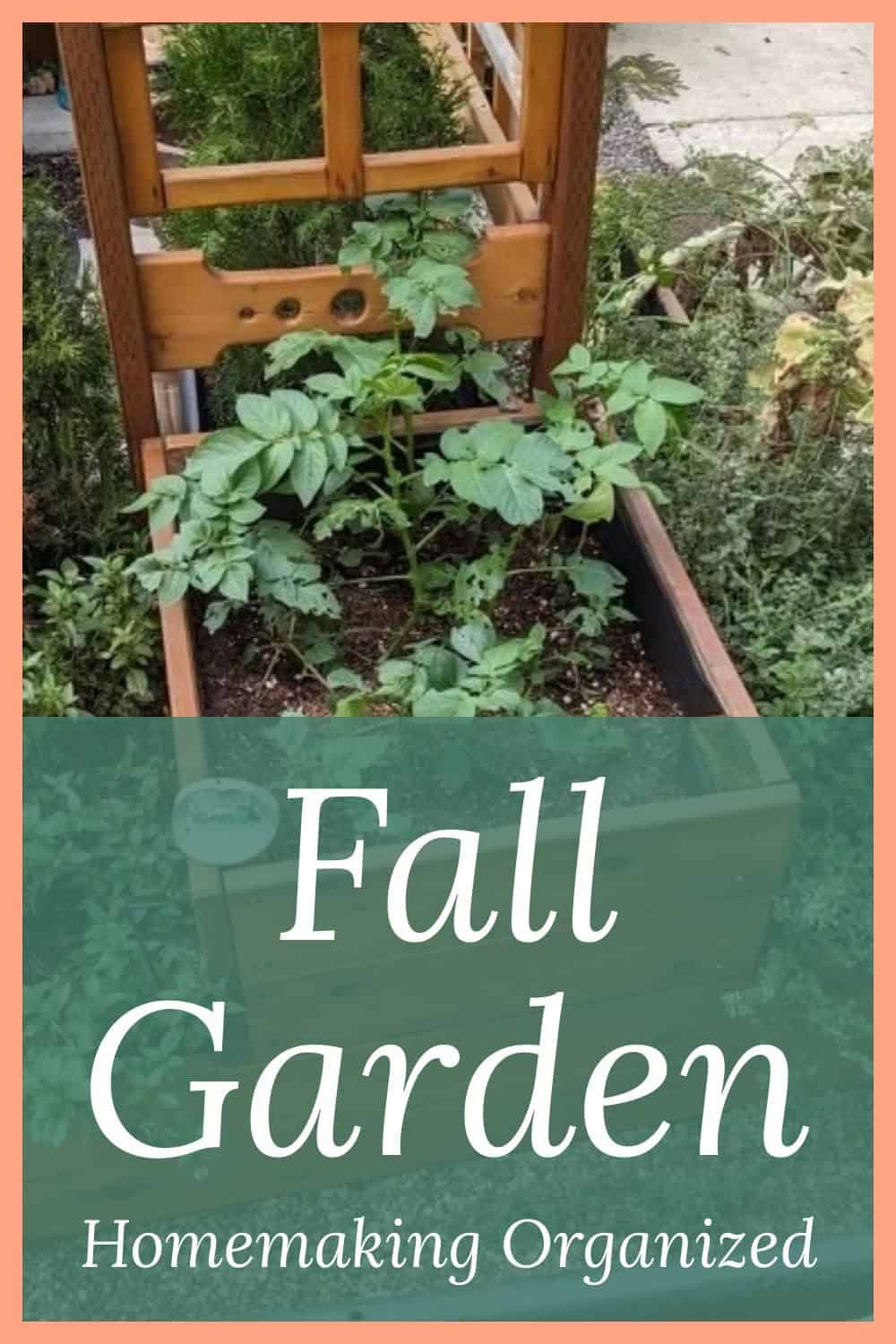 Close up of raised bed/ pergola in back yard